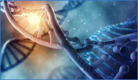 NOVA | NOVA Wonders Can We Make Life? | Season 45 | Episode 105